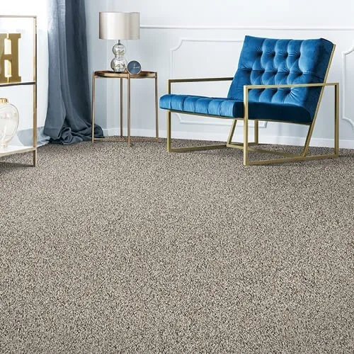 Gray Carpet flooring | All Floors Design Centre